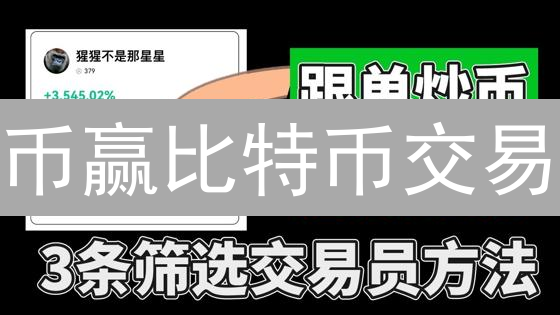 币赢比特币交易：新手指南？风险高收益也高？看完再决定！