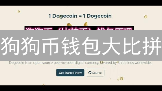 狗狗币钱包大比拼：安全存储与便捷交易，新手指南！