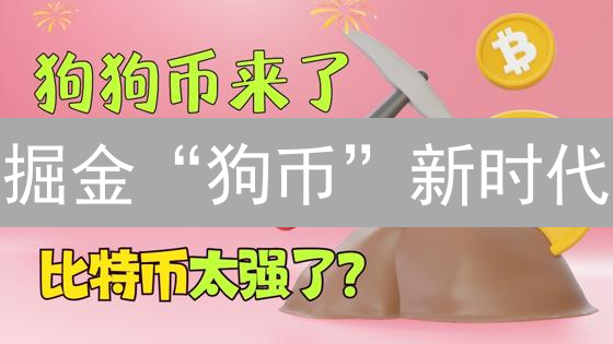 掘金“狗币”新时代：新手指南，教你安全入场！