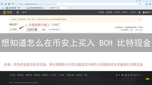 想知道怎么在币安上买入 BCH 比特现金？这篇教程超实用！