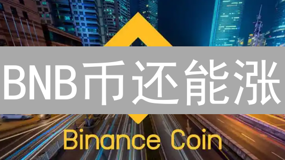 BNB币还能涨？揭秘币安币暴涨背后的真相 (内附投资避坑指南)