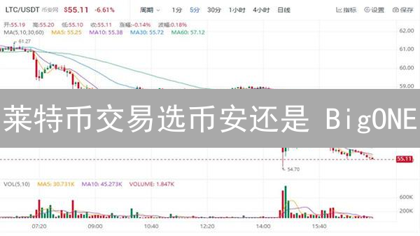 莱特币交易选币安还是 BigONE？深度测评来啦！