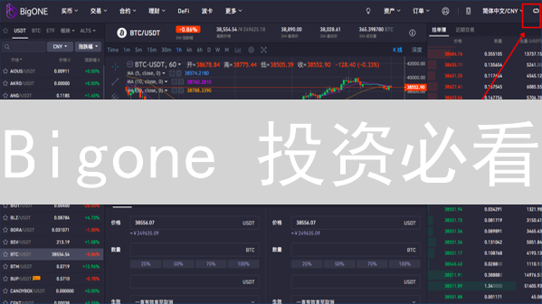 Bigone 投资必看：专家揭秘 5 大风险与应对策略 (限时)