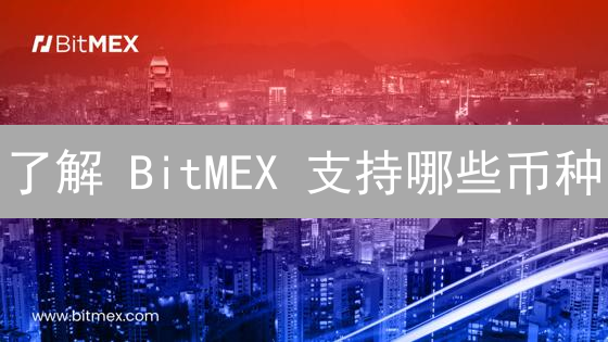 了解 BitMEX 支持哪些币种？新手交易必看指南