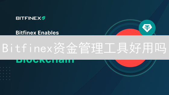 Bitfinex资金管理工具好用吗？实战场景分析与风险控制指南