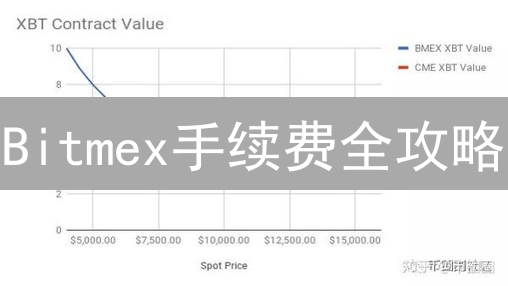 Bitmex手续费全攻略：告别交易亏损，实现盈利飞跃！