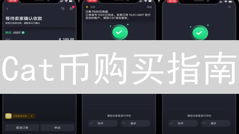 Cat币购买指南：中心化 vs 去中心化？新手必看避坑攻略！