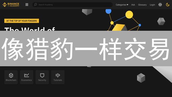 像猎豹一样交易：币安Coinbase极速盈利指南！