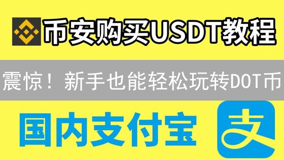 震惊！新手也能轻松玩转DOT币？币安购买终极指南！