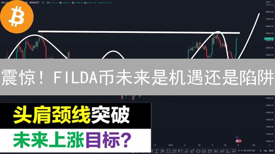 震惊！FILDA币未来是机遇还是陷阱？深度剖析！