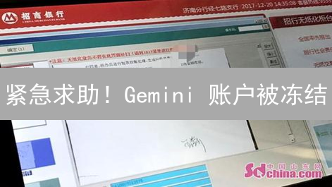 紧急求助！Gemini 账户被冻结？教你如何快速申诉解冻！