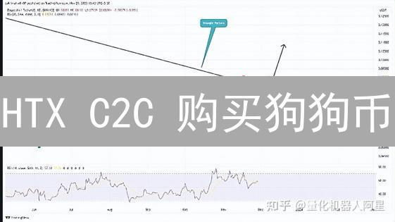 HTX C2C 购买狗狗币：避坑指南（新手必看！）
