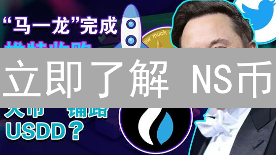 立即了解 NS币：投资策略与风险分析，助你把握机遇！