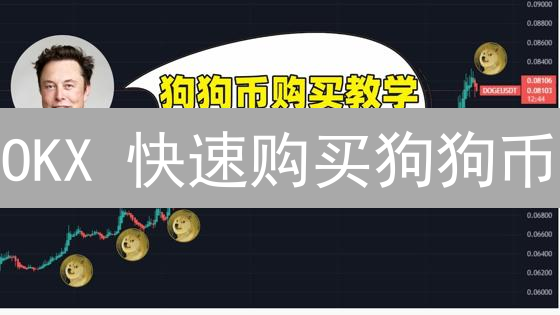 OKX 快速购买狗狗币：新手必看指南，5 分钟上手！