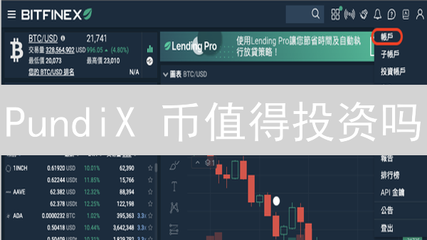 PundiX 币值得投资吗？Bitfinex 购买指南全解析！