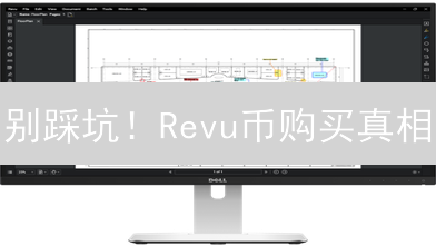 别踩坑！Revu币购买真相：避开陷阱，省钱攻略！