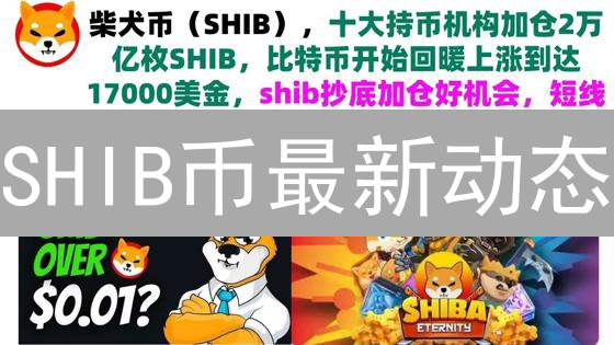 SHIB币最新动态：DeFi应用场景拓展与未来趋势分析