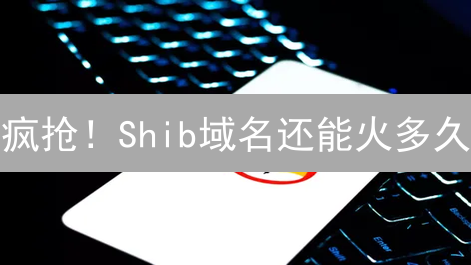 疯抢！Shib域名还能火多久？揭秘炒作背后的价值真相